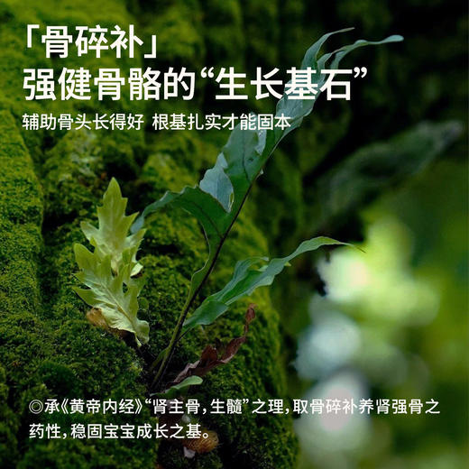 【强健生长力】真不二柴胡骨碎补高升贴30贴/盒★ 商品图2