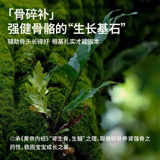 【强健生长力】真不二柴胡骨碎补高升贴30贴/盒★ 商品图3