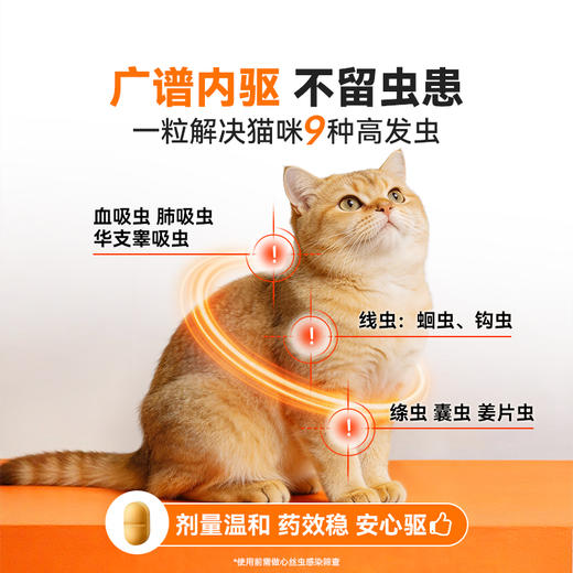 【普乐妙驱虫组合】普安特猫咪驱虫药宠物体内外一体内驱药非泼罗尼滴剂爱滴克普乐妙 商品图1
