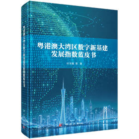 粤港澳大湾区数字新基建发展指数蓝皮书 叶玉瑶等 9787030849229