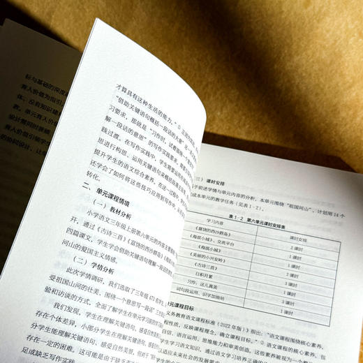 项目学习与单元课程的整合设计 课堂教学新样态丛书 创意课程项目设计 小学案例 商品图8