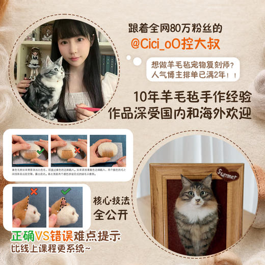 羊毛毡魔法书：仿真萌宠制作教程 商品图1