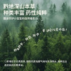 【强健生长力】真不二柴胡骨碎补高升贴30贴/盒★ 商品缩略图4