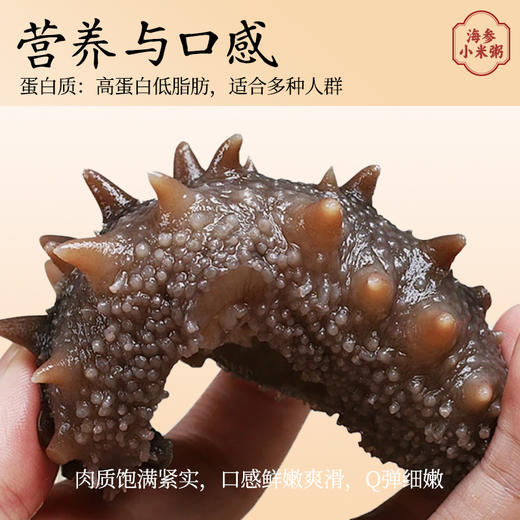 【优质大海参】尚晏堂 海参小米粥 200g/碗*6碗 精选食材真材实料 商品图1