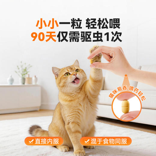 【普乐妙驱虫组合】普安特猫咪驱虫药宠物体内外一体内驱药非泼罗尼滴剂爱滴克普乐妙 商品图3