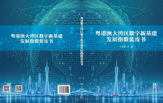 粤港澳大湾区数字新基建发展指数蓝皮书 叶玉瑶等 9787030849229 商品图3