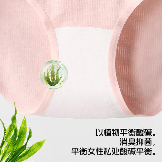 【超模君严选 纯棉高回弹 轻松包裹不同臀型】Lee女士10A纯棉内裤 消臭抑菌 体感细腻光滑 商品图2