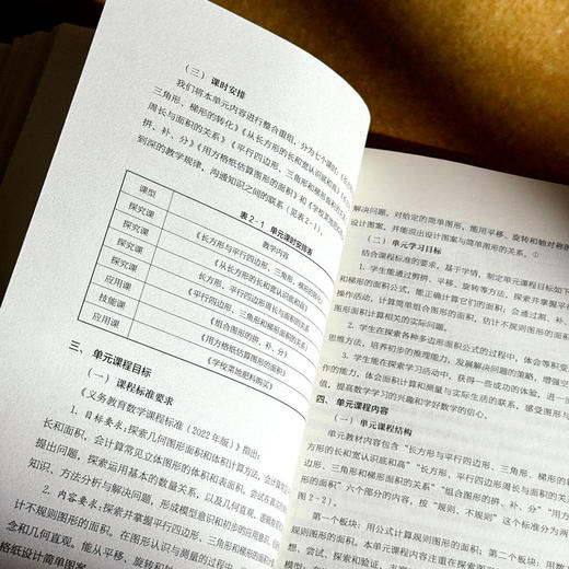项目学习与单元课程的整合设计 课堂教学新样态丛书 创意课程项目设计 小学案例 商品图10