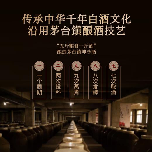 6瓶！【茅台镇百年“王氏”酱酒，53度绵柔醇厚！】秉贤烧 一九五七 绿美人 绝版孤品 酱香馥郁绵柔 国风复古瓷瓶 500ml/瓶 商品图4