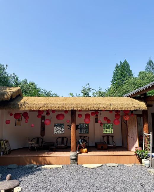 【彭州-548号院】4房川西小院，小鱼洞景区旁，临溪，避暑，玩水，喝茶，挖野菜sj 商品图6