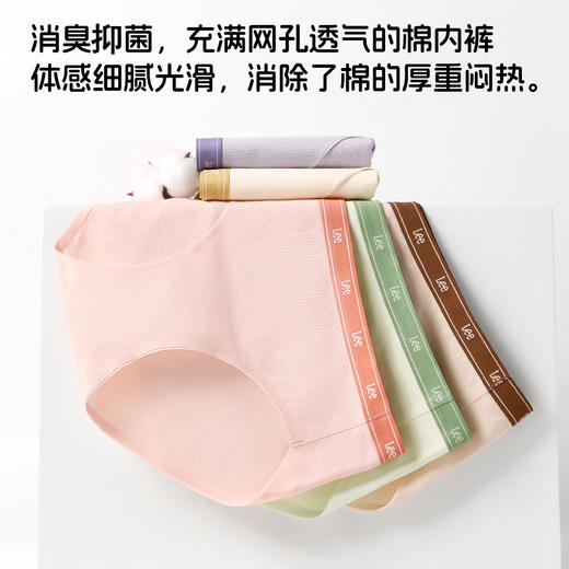 【超模君严选 纯棉高回弹 轻松包裹不同臀型】Lee女士10A纯棉内裤 消臭抑菌 体感细腻光滑 商品图1