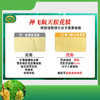 【6盒装】神飞航天 破壁松花粉 2g*10条/盒*6盒 三大核心成分 商品缩略图2