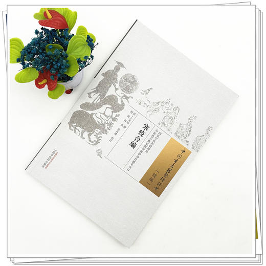 寒疫合编(清) 王光甸 撰（中国古医籍整理丛书 续编）中国中医药出版社 商品图1