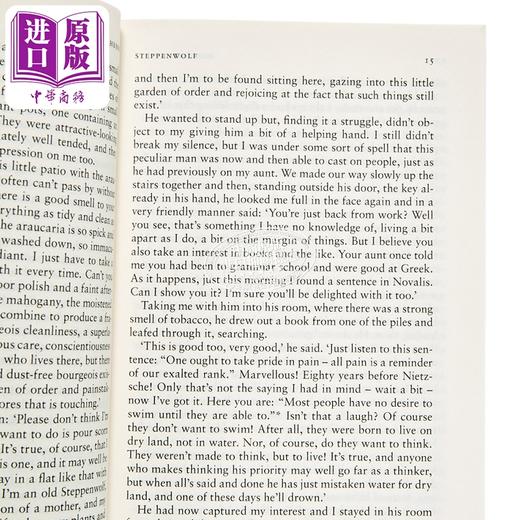 【中商原版】企鹅经典系列 荒原狼 黑塞 英文原版 诺贝尔文学奖得主 Steppenwolf Hermann Hesse David Horrocks 商品图2
