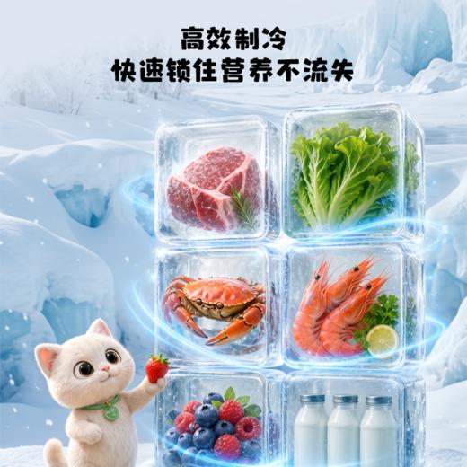 【TCL冰箱】TCL喵小鲜118升单门双温家用小冰箱节能低噪租房电冰箱 商品图6