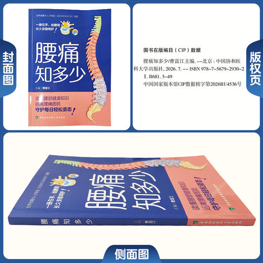 腰痛知多少 曹富江 主编 详解腰椎病症 客观解析疗法 居家护腰实操 科学康复防腰疾 9787567929302 中国协和医科大学出版社 商品图1