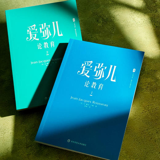 爱弥儿 论教育 全2册 大夏书系 教育经典译丛 世界教育经典 自然教育学说 商品图5