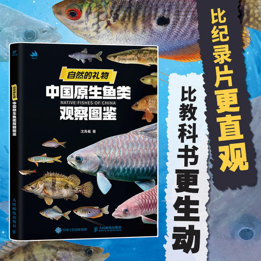 自然的礼物 中国原生鱼类观察图鉴 精选60余种中国原生鱼类 专业钓法指南 商品图0