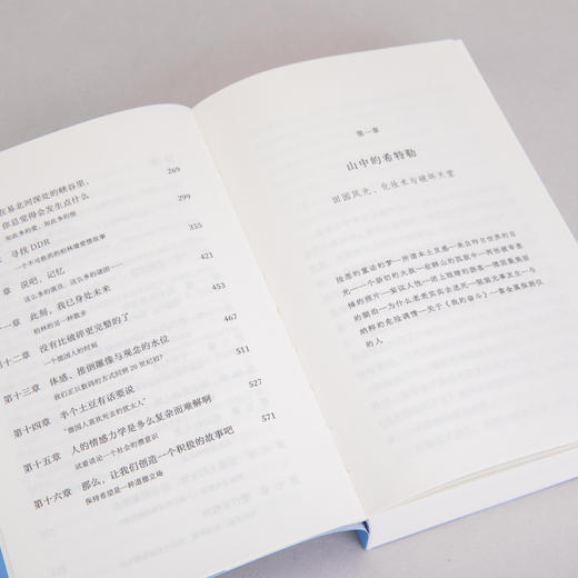 另一个国度 杨潇 著 商品图9