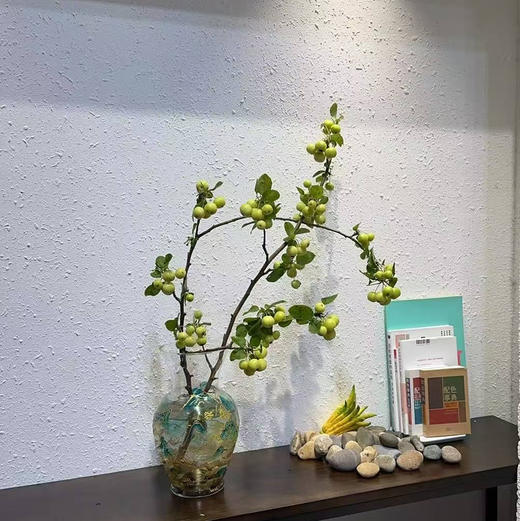 精品小苹果1扎 商品图0