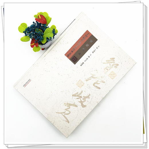 智论岐黄:于智敏中医学术传承文集 张立平 耿照静 主编 中国中医药出版社 商品图1