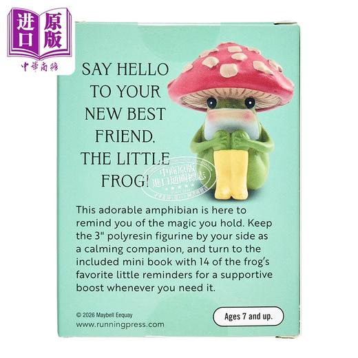【中商原版】自我关怀蘑菇头小青蛙迷你套装  The Little Frog Mini Figurine	英文原版 Maybell Eequay 商品图3