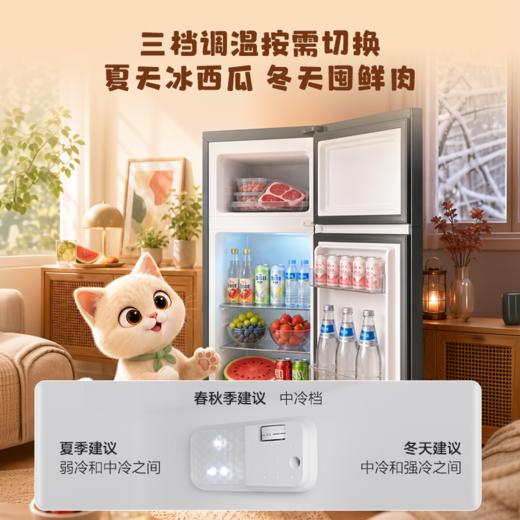 【TCL冰箱】TCL喵小鲜118升单门双温家用小冰箱节能低噪租房电冰箱 商品图8