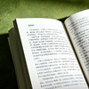 爱弥儿 论教育 全2册 大夏书系 教育经典译丛 世界教育经典 自然教育学说 商品缩略图13
