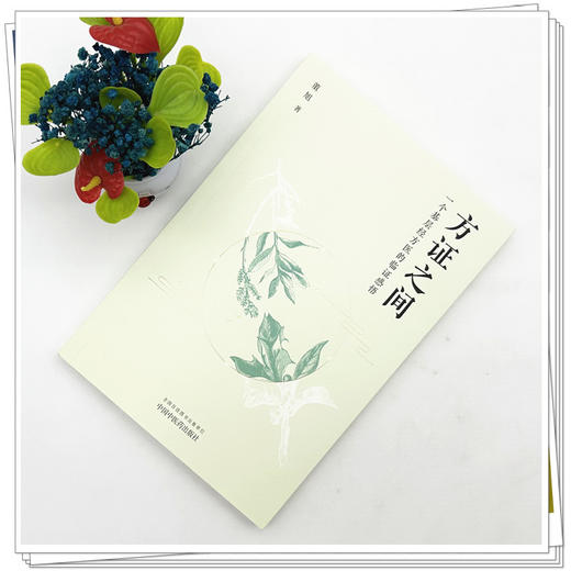 方证之间:一个基层经方医的临证感悟 董旭 著 中国中医药出版社 商品图1