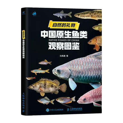 自然的礼物 中国原生鱼类观察图鉴 精选60余种中国原生鱼类 专业钓法指南 商品图4