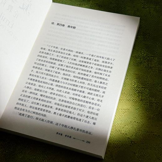 爱弥儿 论教育 全2册 大夏书系 教育经典译丛 世界教育经典 自然教育学说 商品图12