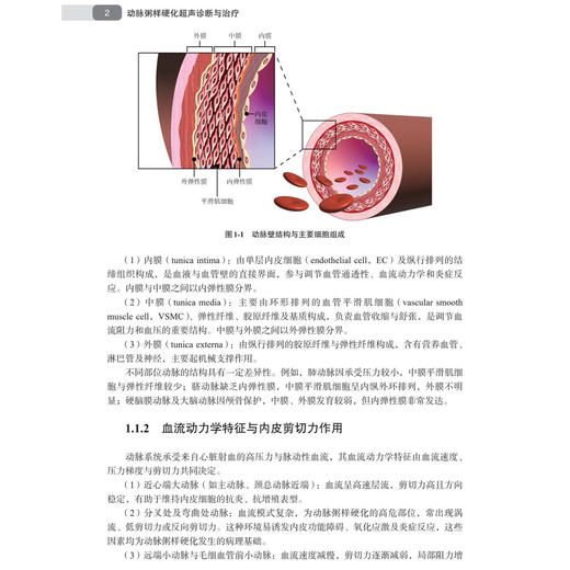 动脉粥样硬化超声诊断与治疗 孙阳 黄荣忠 冉海涛 本书全面系统论述超声技术在动脉粥样硬化诊疗领域应用的学术专著 科学出版社 商品图4