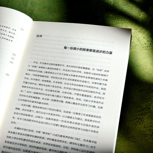 英语跨学科作业设计的七个关键 刘海平 课堂教学新样态丛书 商品图7