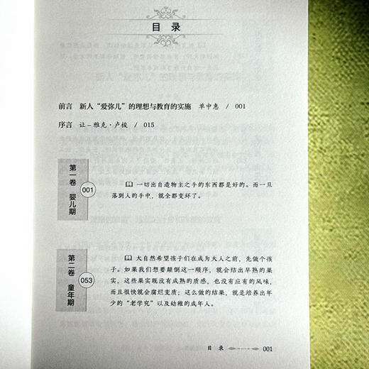 爱弥儿 论教育 全2册 大夏书系 教育经典译丛 世界教育经典 自然教育学说 商品图7