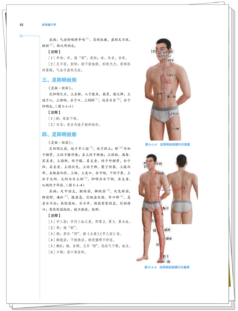 试读1.jpg