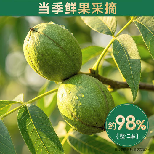 三只松鼠 金装南非碧根果仁360g 富含维生素E-fx 商品图4