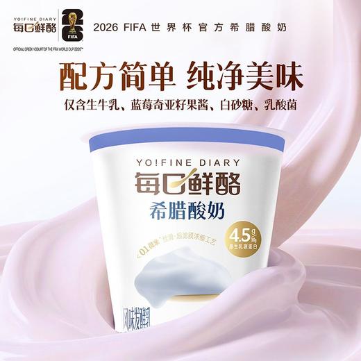 蒙牛100g*3每日鲜酪蓝莓奇亚籽希腊酸奶 商品图0