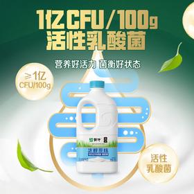 TD蒙牛1.1kg浓醇风味原味酸牛奶