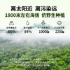 【超模君严选】滋仙草铁皮石斛原浆饮（30ml*7袋/盒） 商品缩略图5