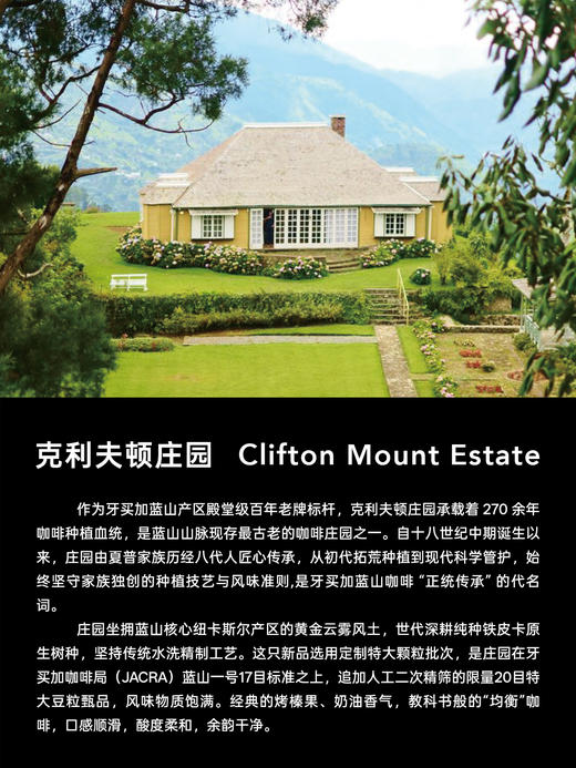 明谦牙买加克利夫顿庄园蓝山1号咖啡豆冰美式咖啡黑咖啡手冲咖啡 商品图1
