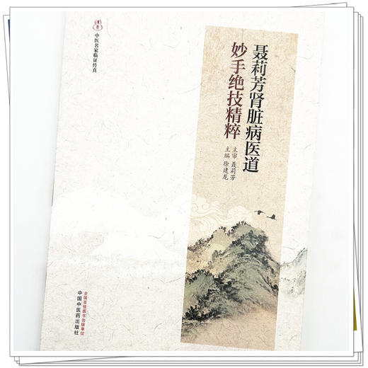 聂莉芳肾脏病医道妙手绝技精粹 中医名家临证传真 徐建龙 主编 从湘地学子到国医名师的传承之路 9787524703945中国中医药出版社 商品图4