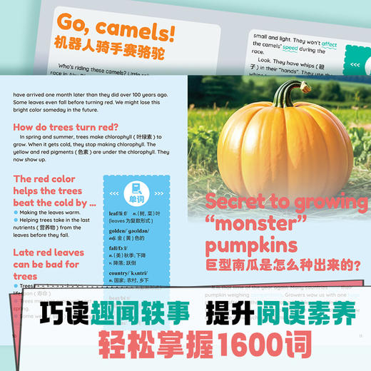 【新东方专属 小学版】跟21世纪英文报读时文学单词.基础级3册+提高级3册 商品图3