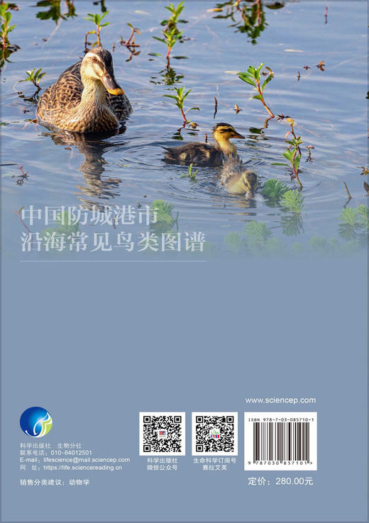 中国防城港市沿海常见鸟类图谱 何斌源等 9787030857101 商品图1