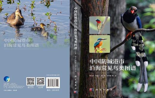 中国防城港市沿海常见鸟类图谱 何斌源等 9787030857101 商品图3