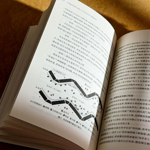 未来课堂的徐汇答案 中小学项目化学习案例集萃 上海市义务教育项目化学习丛书 商品图12