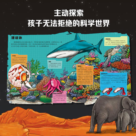 课本里的科学大冒险（共8册） 商品图2