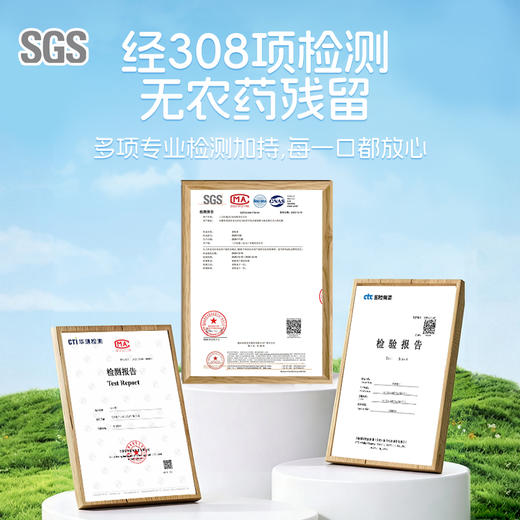 三只松鼠 金装南非碧根果仁360g 富含维生素E-fx 商品图11