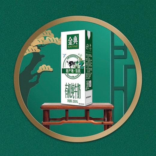 伊利250ml*12金典有机纯牛奶 商品图2