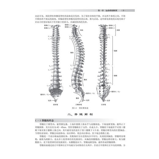 运动系统疾病 罗飞 侯天勇 陈光兴 主编 本书主要面向临床医学专业本科及长学制学员 临床医学 9787030849588 科学出版社 商品图4