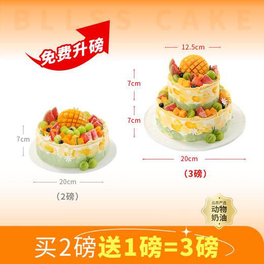 【免费升磅-买1磅送1磅，到手2磅】芒芒盛夏/果粒满满水果蛋糕，多种水果铺满顶层，每一口都是鲜活的夏天（今日特惠） 商品图1